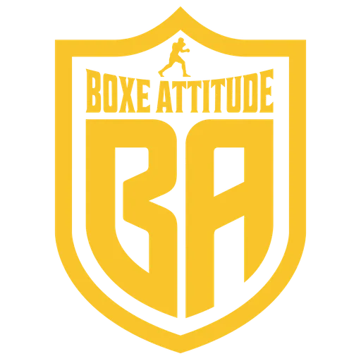 BOXE ATTITUDE