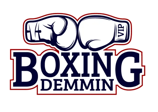 Vip Boxing Demmin e.V.