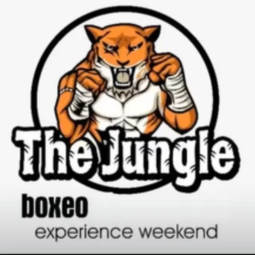 The Jungle 