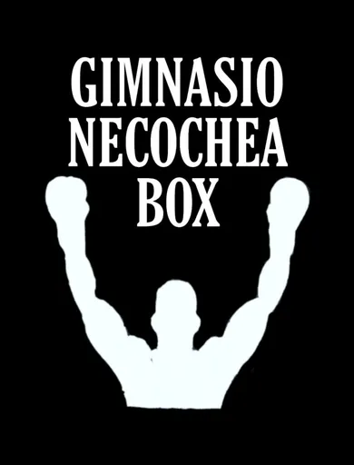 Gimnasio Necochea Box 
