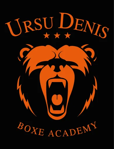 Ursu Denis Boxe Academy 