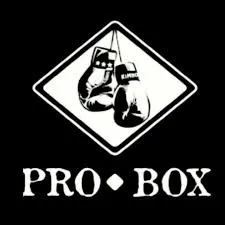 CLUB PRO BOX MENORCA