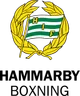 Hammarby IF Boxningsförening