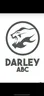 Darley boxing club