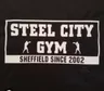 Steel city 