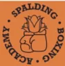 Spalding boxing academy 